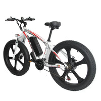 Fat Tyre Electric Bike XDC600 YTL - Allspark