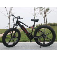 Electric bike AKEZ 750W 350W Cruiser Allspark