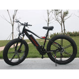 Electric bike AKEZ 750W 350W Cruiser Allspark