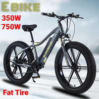 Electric bike AKEZ 750W 350W Cruiser Allspark