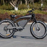 Greasy monkey Ebike cruiser Allspark