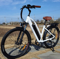 Step Through Electric bike MTB Allspark